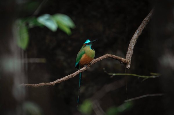 Les secrets d'un moteur performant : les habitudes d'entretien indispensables pour une longévité maximale