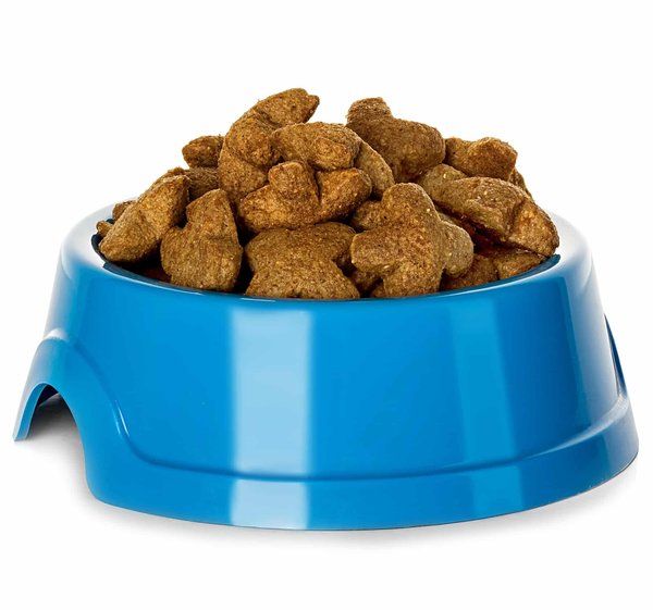 Comment choisir les croquettes bio pour chien ?