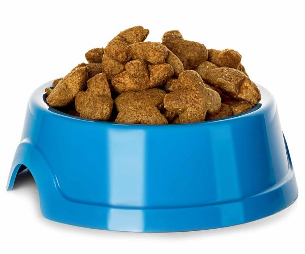 Comment choisir les croquettes bio pour chien ?