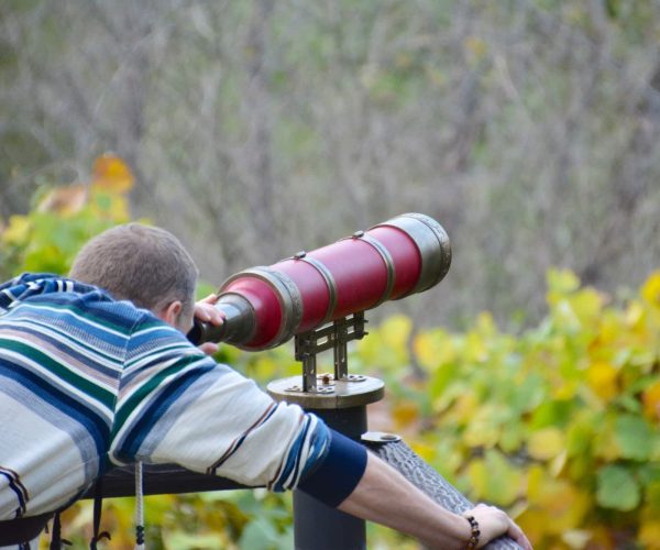 Comment les télescopes Dobsonian se comparent-ils aux autres types de télescopes ?